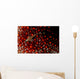 Lizard Triplefin Top Sea Wall Decal Design 2