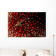 Lizard Triplefin Top Sea Wall Decal Design 2