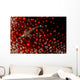 Lizard Triplefin Top Sea Wall Decal Design 2