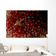 Lizard Triplefin Top Sea Wall Decal Design 2