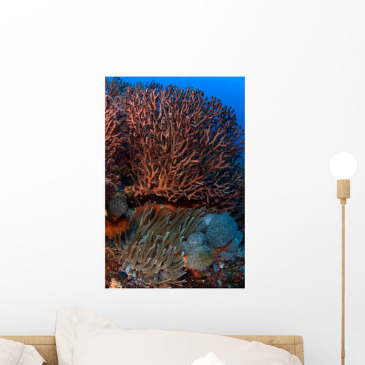 Gorgonian and Giant Caribbean Wall Decal