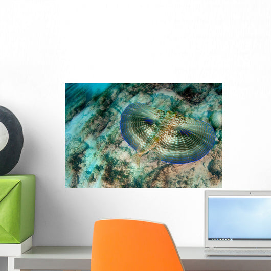 Flying Gurnard Swimming along Wall Decal Design 1