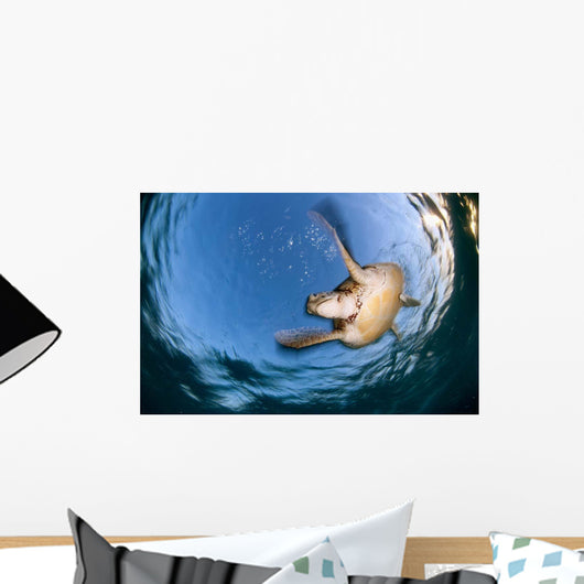 Green Sea Turtle Chelonia Wall Decal Design 2