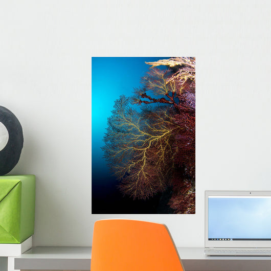 Soft Coral and Gorgonians Wall Decal