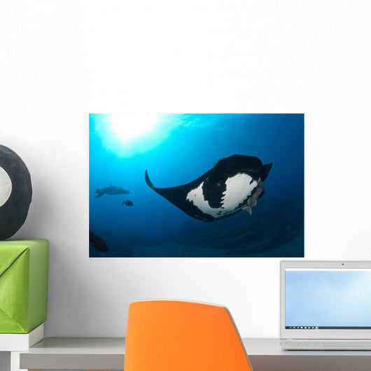 Two Manta Rays Manta Wall Decal