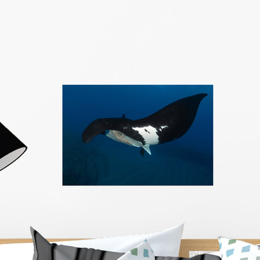 Giant Manta Ray Manta Wall Decal Design 4