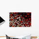 Sea Star Pentaceraster Cumingi Wall Decal