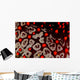 Sea Star Pentaceraster Cumingi Wall Decal