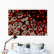 Sea Star Pentaceraster Cumingi Wall Decal