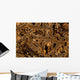 Basket Stars Retract Their Wall Decal Design 2