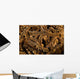 Basket Stars Retract Their Wall Decal Design 1