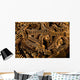Basket Stars Retract Their Wall Decal Design 1