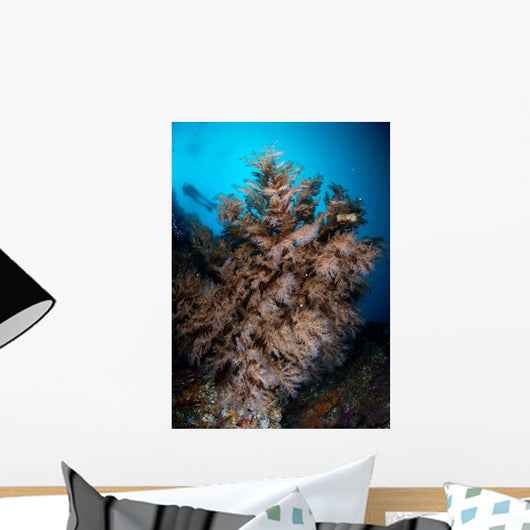 Black Coral Tree and Wall Decal
