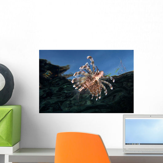 Lionfish Pterois Volitans Wall Decal