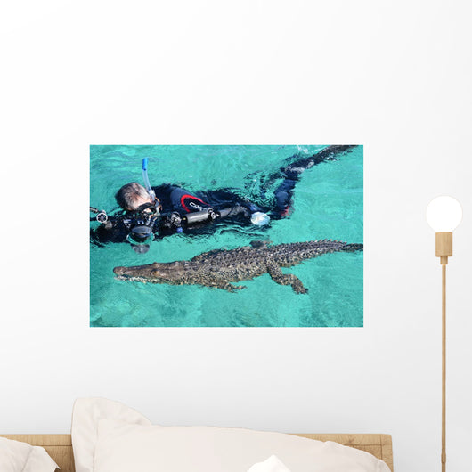 American Crocodile and Diver Wall Decal Design 2