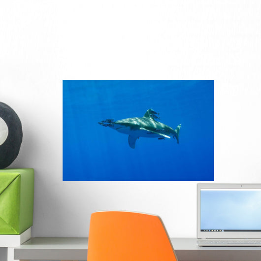 Pilot Fish Swimming with Wall Decal Design 2