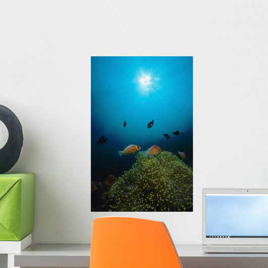 Rays Light Shining Clownfish Wall Decal Design 1