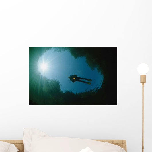 Diver Floating River Surface Wall Decal