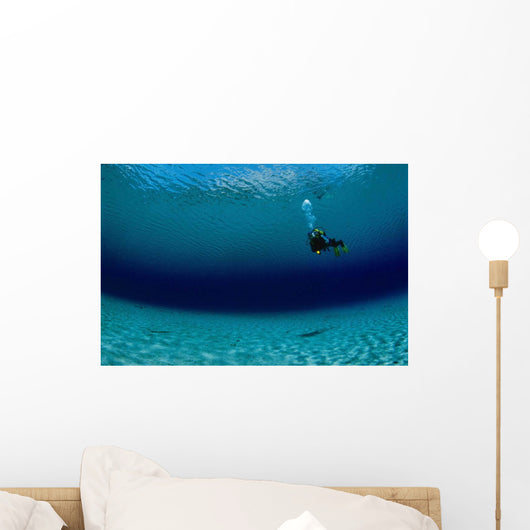 Diver Exploring Green Lake Wall Decal Design 1
