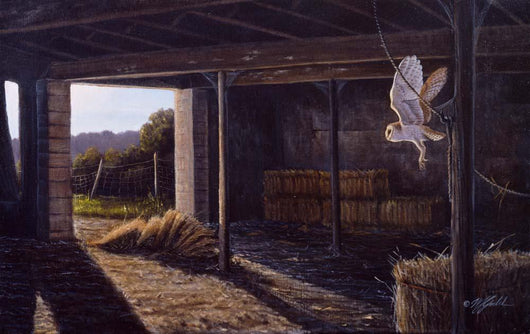 Silent Wings Barn Owl Wall Decal