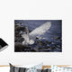 Winter Shore Snowy Owl Wall Decal