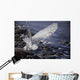 Winter Shore Snowy Owl Wall Decal