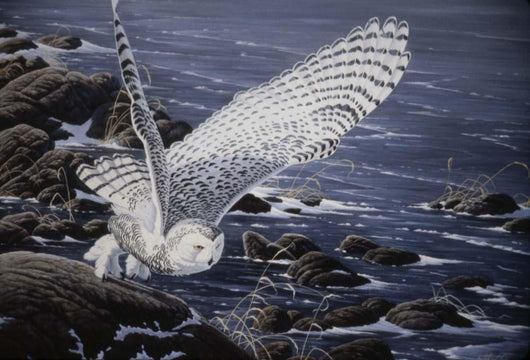 Winter Shore Snowy Owl Wall Decal