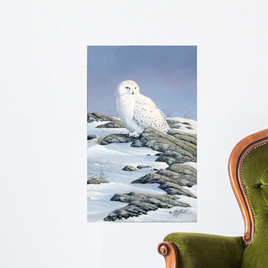 Snowy Owl Wall Decal