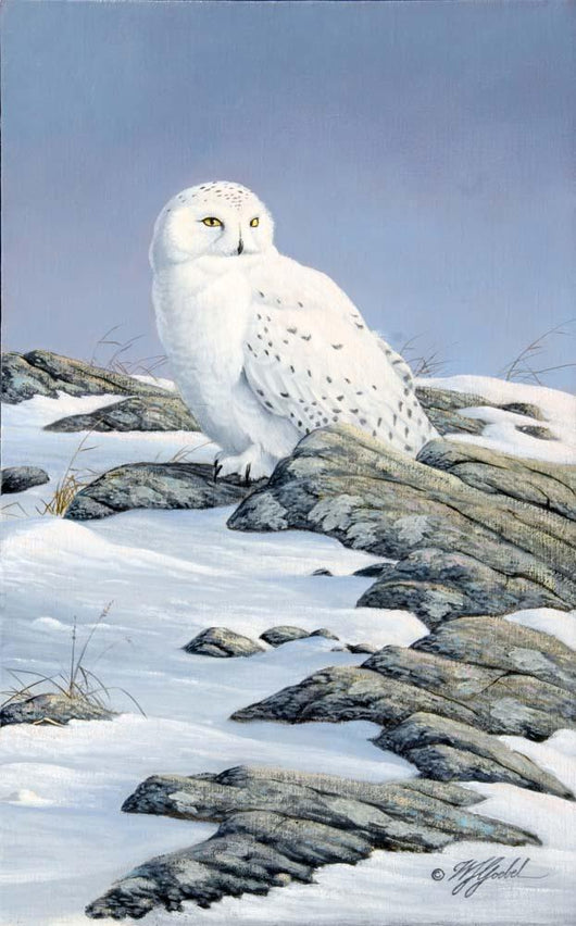 Snowy Owl Wall Decal