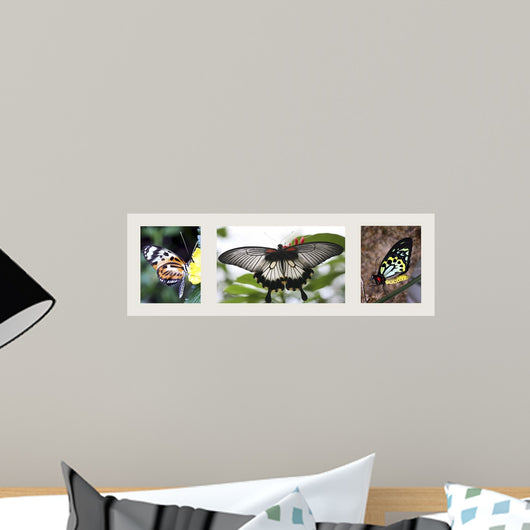 Butterfly Trio Wall Decal