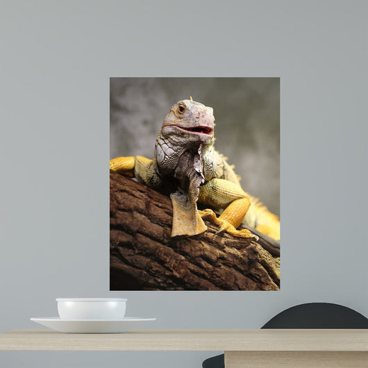 1ggy Iii Wall Decal