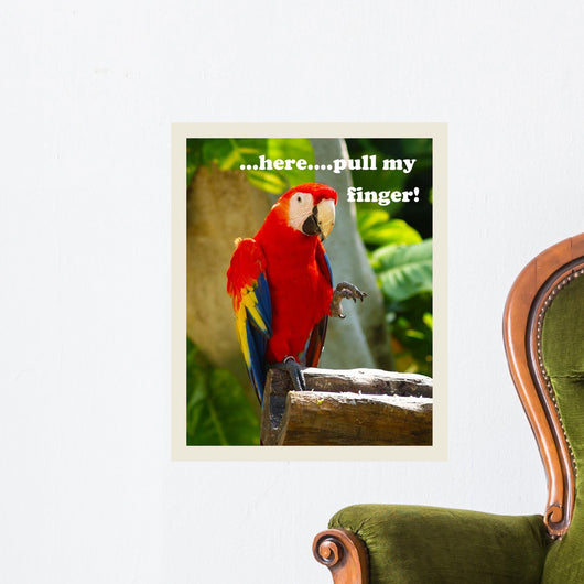 Parrot Ii with Words Wall Decal