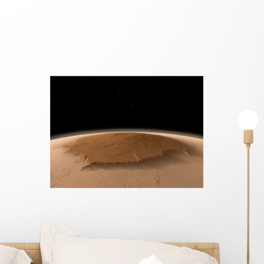 Artist's Concept Northwest Side Wall Decal