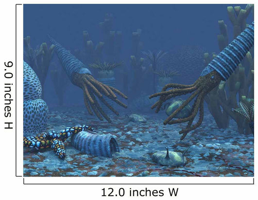 Squid-like Orthoceratites Attempt to Wall Decal