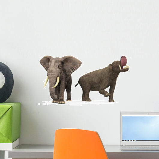 Adult Platybelodon Compared to Wall Decal