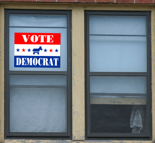 Vote Democrat Donkey Window Sticker