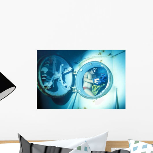 Underwater Demolition Team Wall Decal