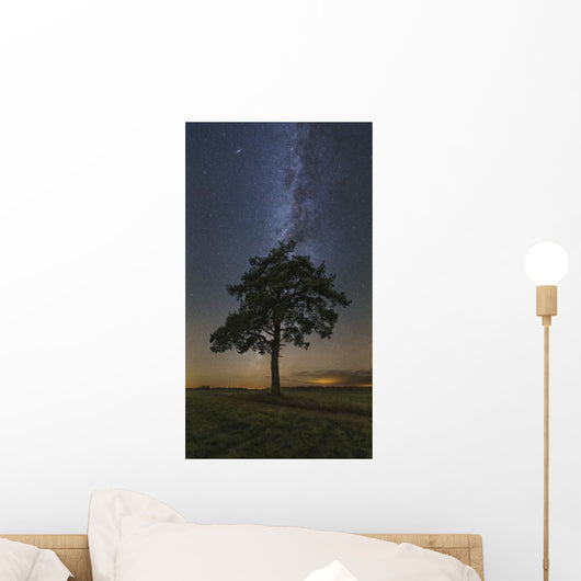 Lonely Tree Field Night Wall Decal