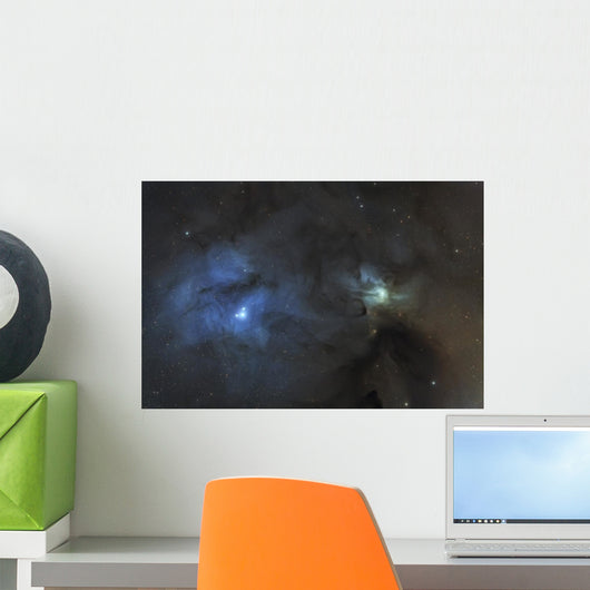 Ic 4603 Dust and Wall Decal