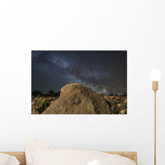 Fossilized Ammonite and Milky Wall Decal