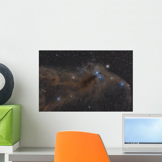 Dark Nebula Constellation Sagittarius Wall Decal