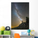 Man Shining Flashlight Milky Wall Decal