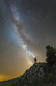 Man Shining Flashlight Milky Wall Decal