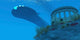 Submarine Passes over Greek Wall Decal