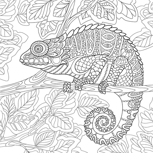 Chameleon Coloring Page Decal