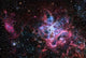 Tarantula Nebula Star Forming Wall Decal
