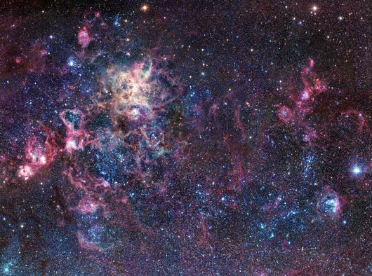 Tarantula Nebula Wall Decal