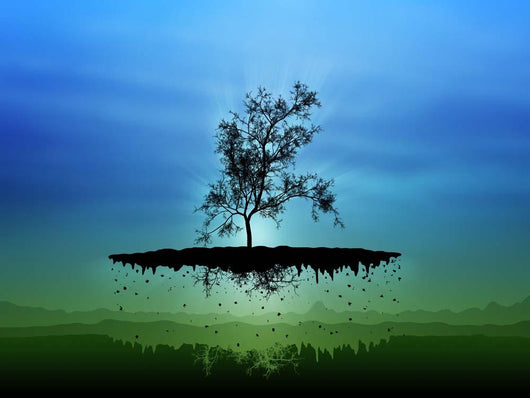 Digitally Generated Image Flying Wall Decal Design 2
