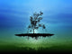 Digitally Generated Image Flying Wall Decal Design 2