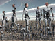 Artist's Concept Abundance Androids Wall Decal